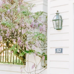 Wisteria climbing a white home exterior near a black iron gate, with house number "52" visible.