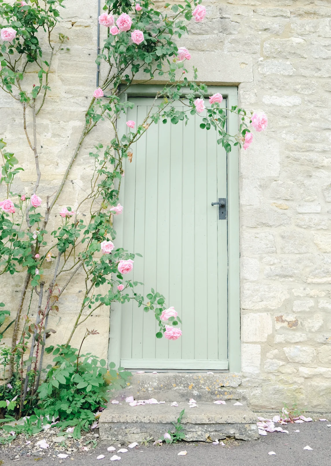 Pale green wooden door framed by a stone wall and trailing pink roses.