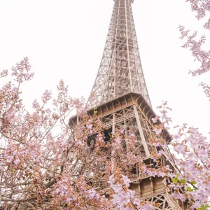 Eiffel Tower in Spring Fine Art Film Print
