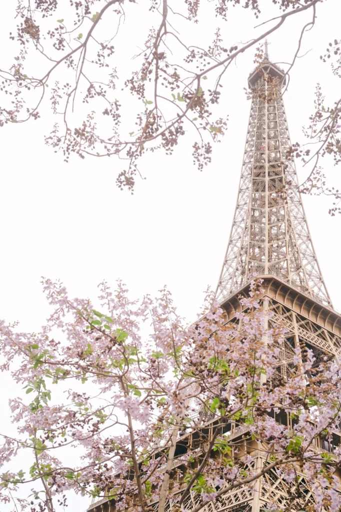 Eiffel Tower framed with spring blossoms – iconic France wall art, dreamy Paris travel print.