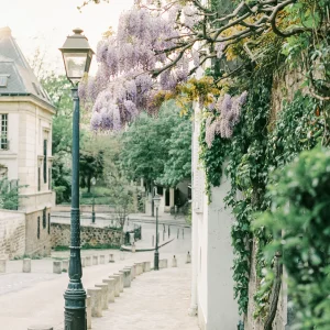 Wisteria-draped Parisian walkway – dreamy France wall art, Europe spring travel print.