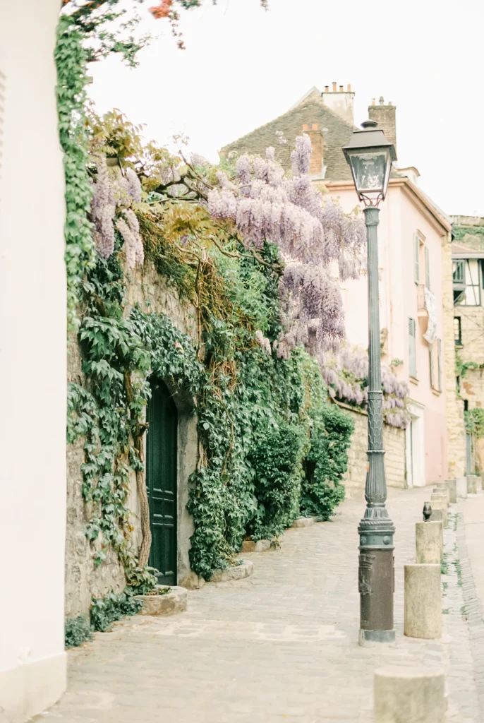 Wisteria-covered street in France – fairytale springtime wall decor, European travel print.