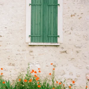 Stone wall with green shuttered window and wild poppies.