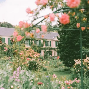 French country garden with vibrant roses – romantic floral travel print, France art decor.