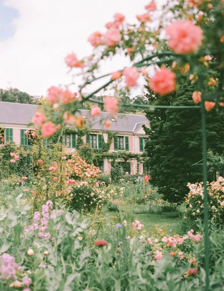 French country garden with vibrant roses – romantic floral travel print, France art decor.