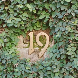 Charleston Secret Garden no.2 Fine Art Film Print
