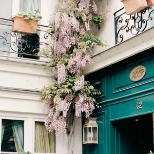 Parisian building with teal door and cascading wisteria.