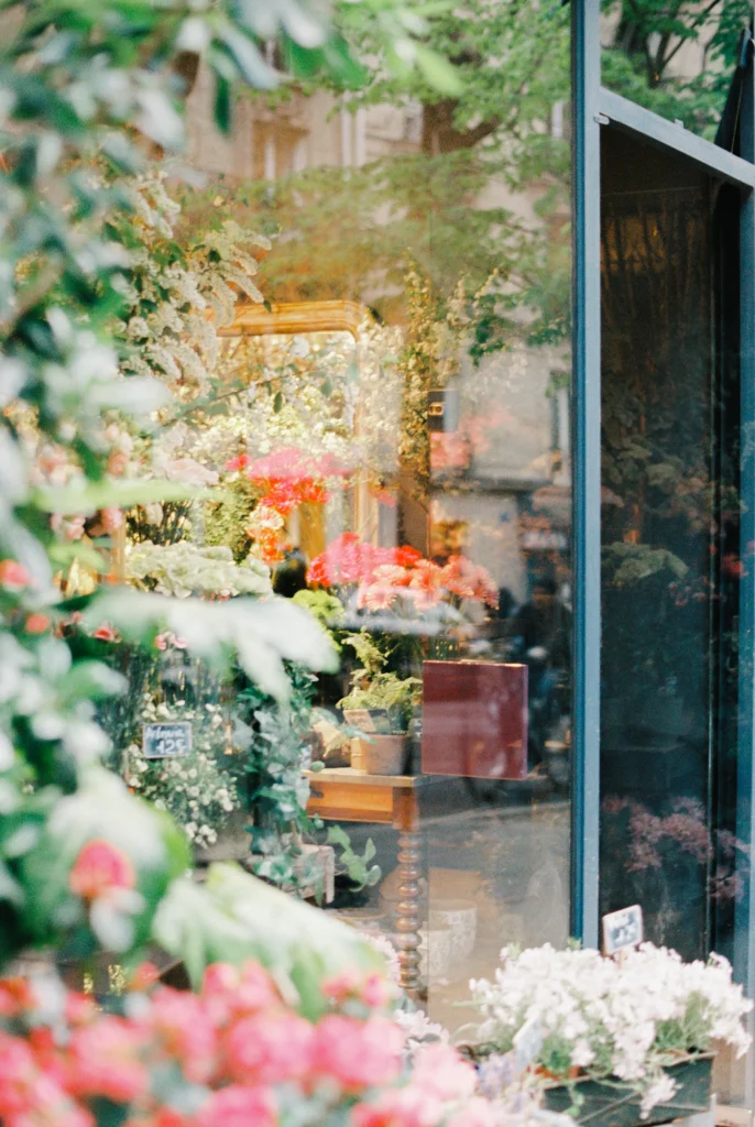 Florist window filled with lush flowers and reflections.