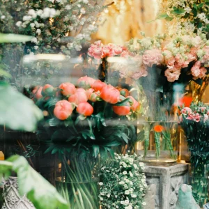 Pink peonies and roses behind a rain-splattered glass.