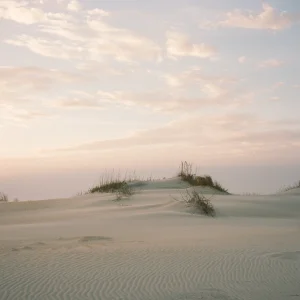OBX Sand Dunes Fine Art Print