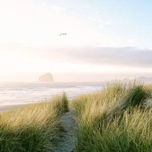 OBX Sea Grass Ocean Coast Fine Art Print