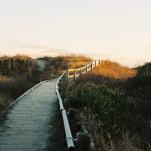 Boardwalk on Sullivan Island Fine Art Print